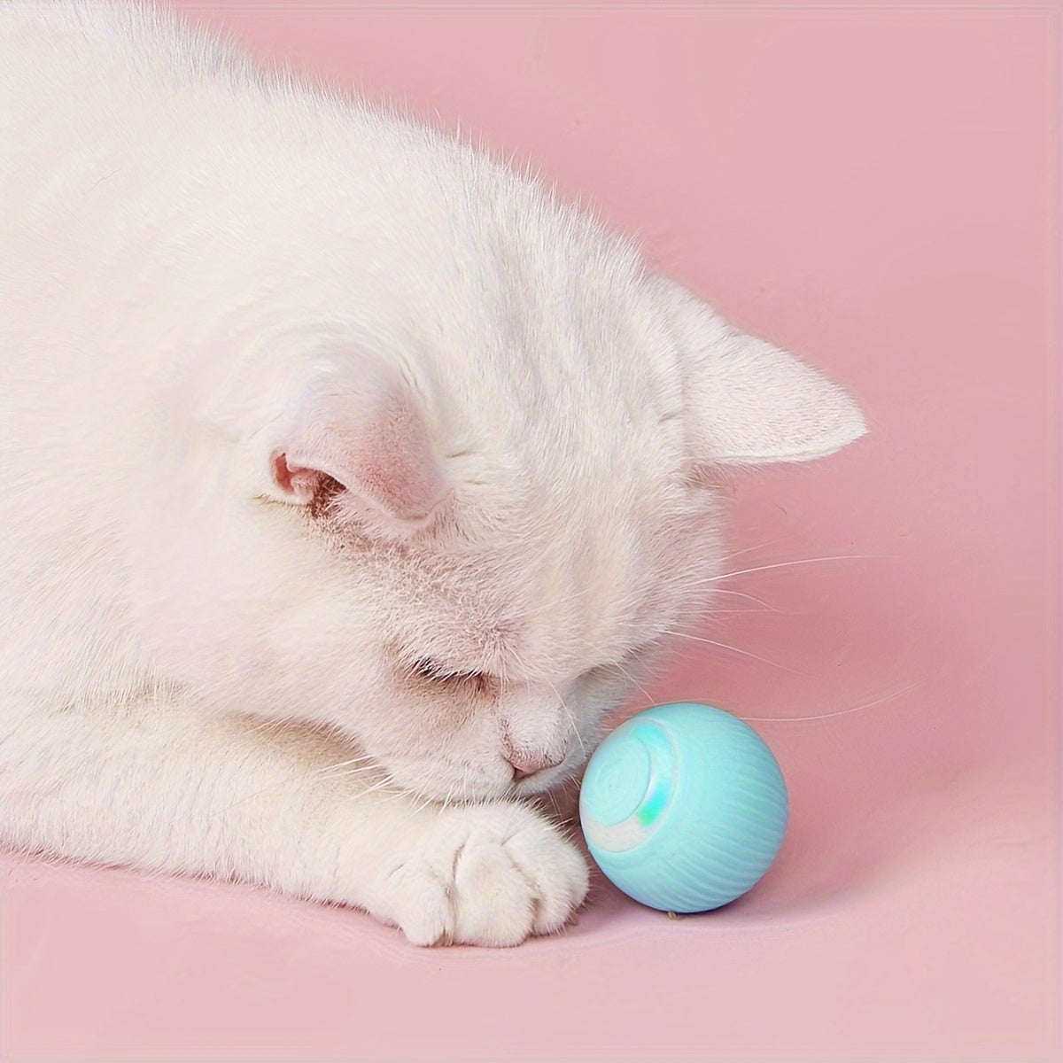 Cat Ball Toy – Automatic Rolling Ball for Endless Fun