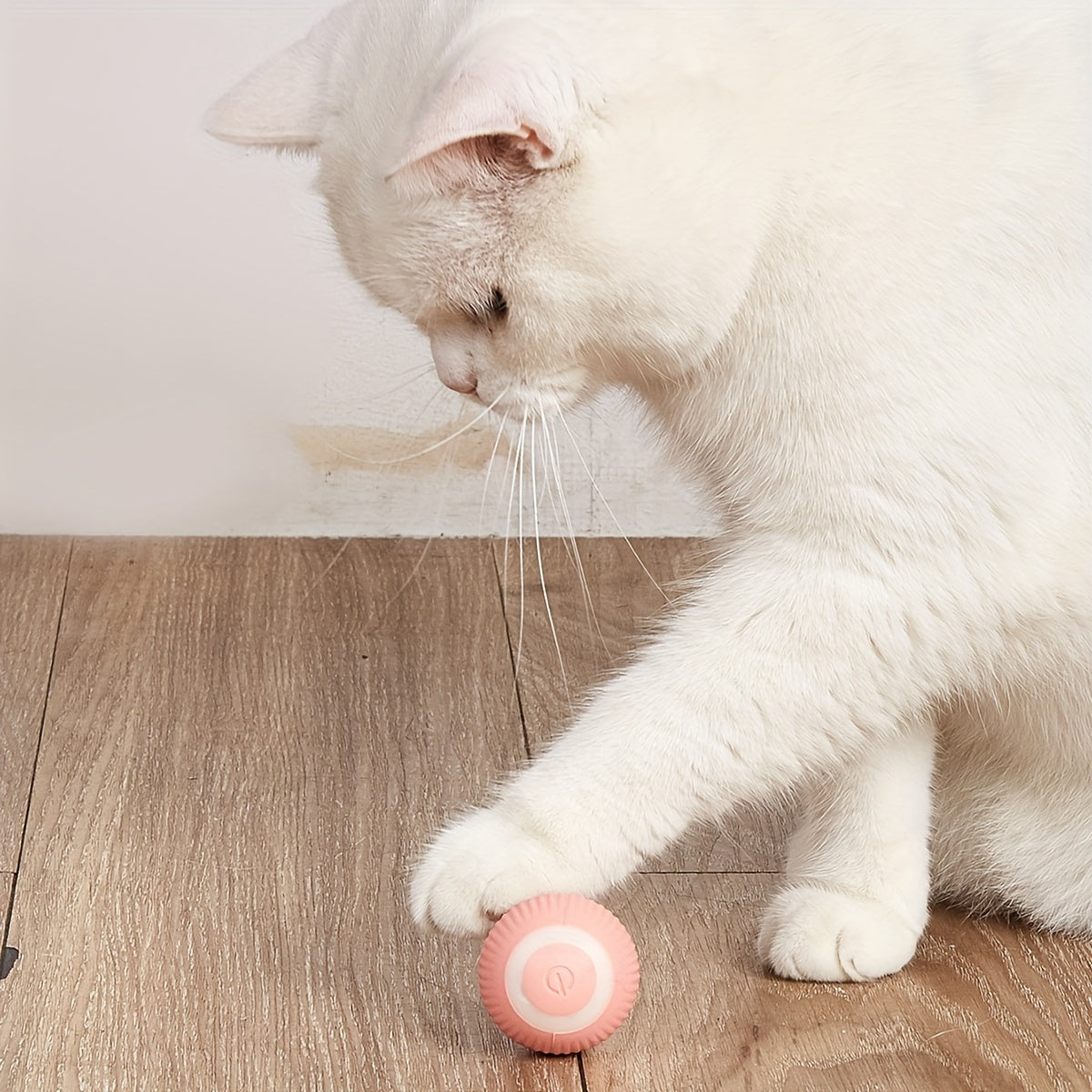 Cat Ball Toy – Automatic Rolling Ball for Endless Fun