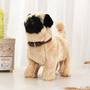  Pug