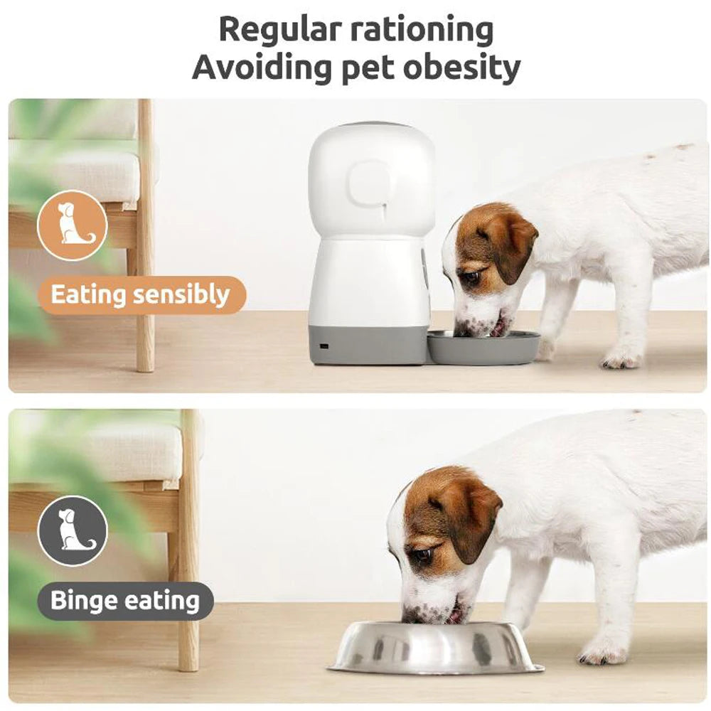 3.5L Automatic Pet Feeder with Timer & Stainless Steel Bowl | Smart Food Dispenser for Cats & Dogs