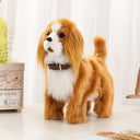  Cavalier King Charle
